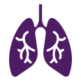 호흡기 및 면역 질환